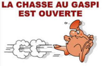 Chasse au Gaspi