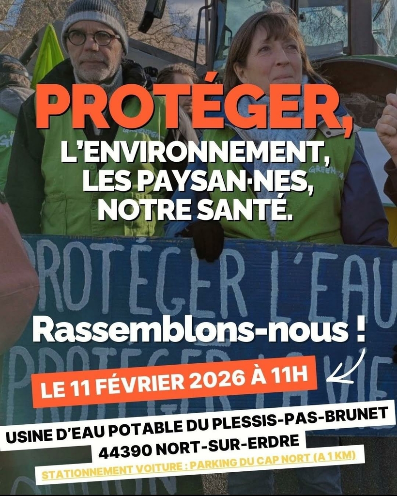 signal 2026 02 04 202632 002