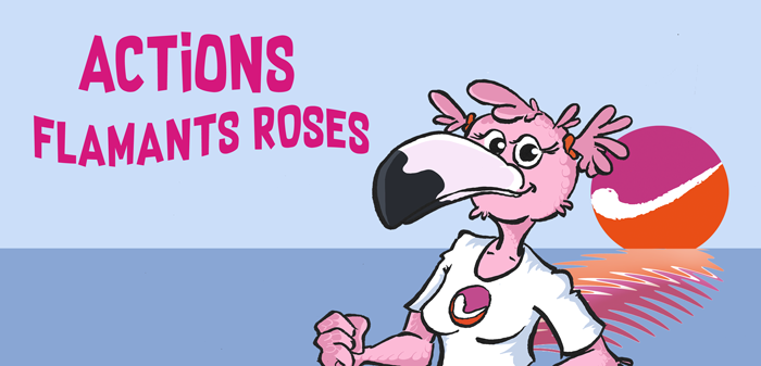 opération flamants roses