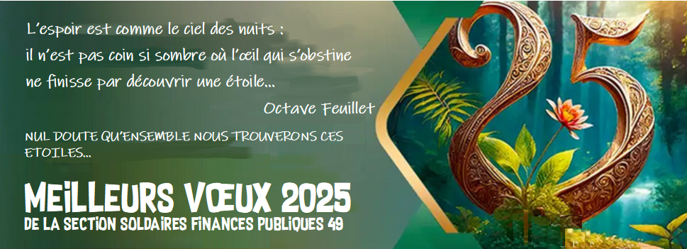 voeux 2025.pdf Adobe Acrobat Reader 32 bit