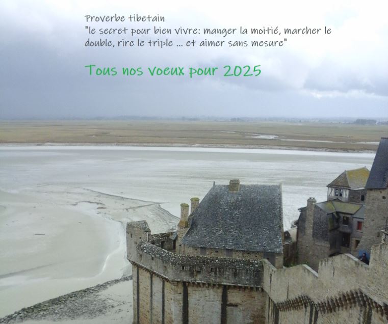 Voeux 2025 