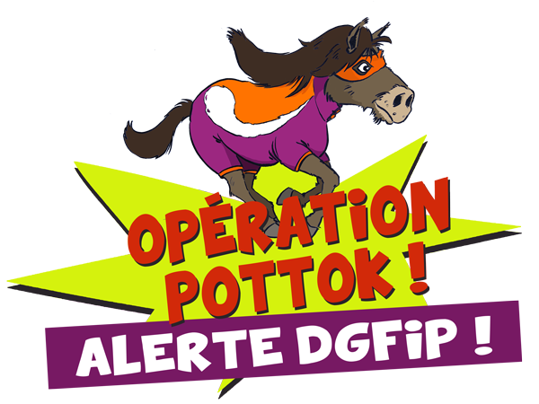 operation pottok
