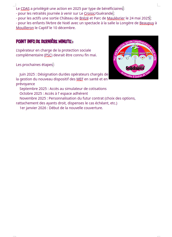 Compte rendu CDAS 29 04 25 2