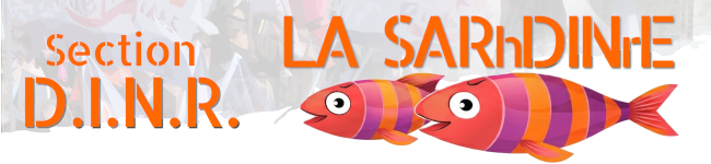 Section D.I.N.R.