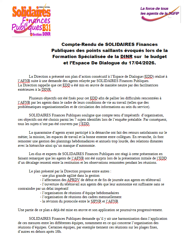 260417 Compte Rendu SOLIDAIRES FS DINR Budget et EDD