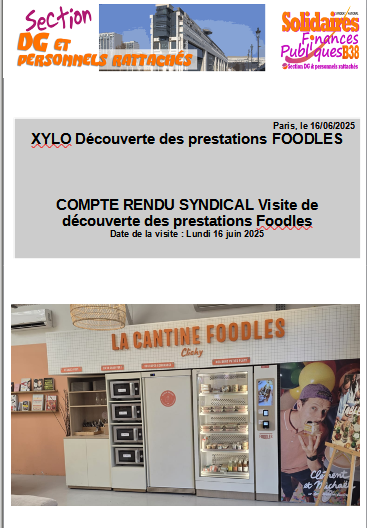 2025 06 25 11 28 02 Découverte FOODLES 16 06 2025.odp LibreOffice Impress